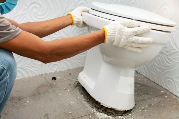 Cost of Toilet Removal in Renton